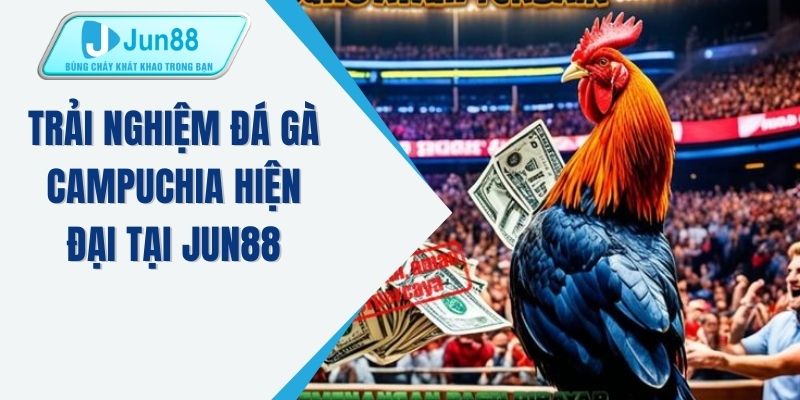 Trải nghiệm đá gà Campuchia hiện đại tại JUN88